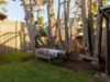 8 Shalfleet Avenue, Ventnor, Vic 3922-Image