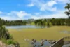 8 Sheffield Circuit, Pacific Pines QLD 4211-Image
