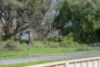 8 Shelduck Court, Broadwater WA 6280-Image