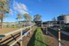 8 Sheppard Avenue, Muswellbrook, NSW 2333-Image