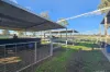 8 Sheppard Avenue, Muswellbrook, NSW 2333-Image