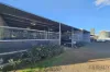 8 Sheppard Avenue, Muswellbrook, NSW 2333-Image