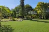 8 Shorelands Drive, Withcott, Qld 4352-Image