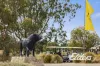 8 Silverwoods Boulevard, Yarrawonga, Vic 3730-Image