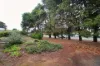 8 Sixth Street, Booborowie, SA 5417-Image