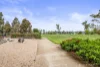 8 Somerset Road, Thornhill Park, Vic 3335-Image