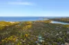 8 St Andrews Gate, Elanora Heights, NSW 2101-Image