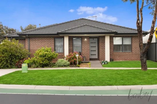 8 Streamside Drive, Craigieburn, Vic 3064