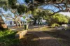 8 Susan Street, Turners Beach, Tas 7315-Image
