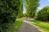 8 Teatree Close, Samford Valley, Qld 4520-Image