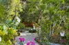 8 Teatree Close, Samford Valley, Qld 4520-Image