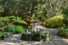 8 Teatree Close, Samford Valley, Qld 4520-Image