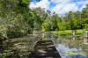 8 Teatree Close, Samford Valley, Qld 4520-Image