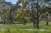 8 Tennyson Street, Woodend, Vic 3442-Image