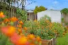 8 Timberlea Drive East, Bentley Park, Qld 4869-Image