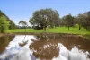 8 Trainers Drive, Kilmore, Vic 3764-Image