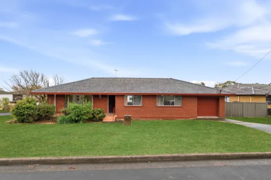 8 Treelands Avenue, Ingleburn, NSW 2565