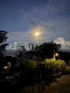 8 Treetop Glen, Thirroul, NSW 2515-Image