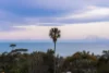 8 Treetop Glen, Thirroul, NSW 2515-Image