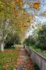 8 Vauxhall Road, Northcote, Vic 3070-Image