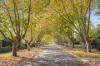 8 Vauxhall Road, Northcote, Vic 3070-Image