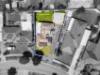 8 Wadham Court, Endeavour Hills, Vic 3802-Image