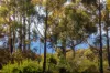 8 Wallaby Way, Tura Beach, NSW 2548-Image