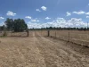 8 Walton Street, Boggabri, NSW 2382-Image