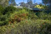 8 Waragil Street, Blackheath, NSW 2785-Image