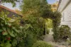8 Warburton Street, Bardon, Qld 4065-Image