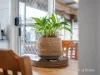 8 Ward Street, Wynyard, Tas 7325-Image