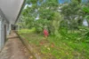 8 Water Street, Goondi Hill, Qld 4860-Image