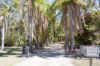 8 Watkins Road, Agnes Water QLD 4677-Image