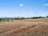 8 Weier Road, Plainland, Qld 4341-Image