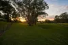 8 Whiteman Lane, Ellis Lane, NSW 2570-Image