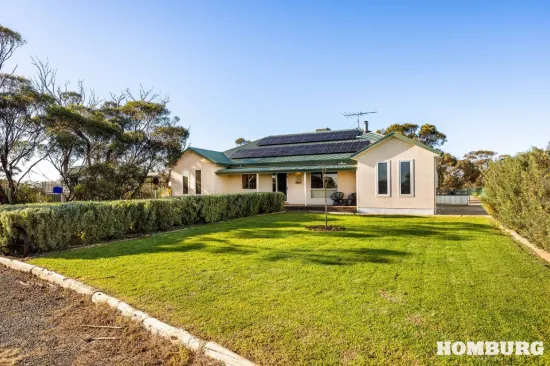 8 William Street, Sedan, SA 5353