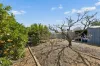 8 Williams Grove, Murray Bridge, SA 5253-Image