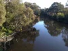8 Young Street, Kew, Vic 3101-Image