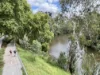 8 Young Street, Kew, Vic 3101-Image