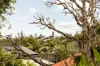 80 Armfield Street, Stafford, Qld 4053-Image