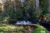 80 Back Cam Road, Somerset, Tas 7322-Image