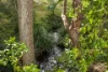 80 Bakker Drive, Bonville, NSW 2450-Image