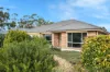 80 Borrow Street, Freeling, SA 5372-Image