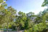 80 Coal Point Road, Coal Point, NSW 2283-Image