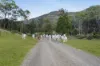 80 Cole Gully Road, Lefthand Branch, Qld 4343-Image