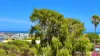 80 Crystaluna Drive, Golden Bay, WA 6174-Image