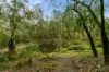 80  Explorers Road, Yinnar South, Vic 3869-Image