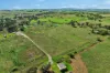 80 Floods Lane, Canowindra, NSW 2804-Image