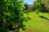 80 Golden Hind Avenue, Cooloola Cove, Qld 4580-Image