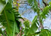 80 Gondola Road, North Narrabeen, NSW 2101-Image